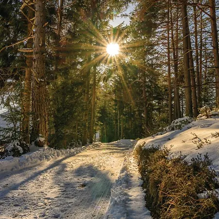 Kail Thomas Apartamento