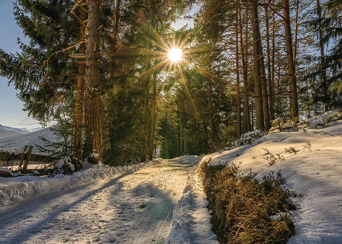 Kail Thomas Apartament